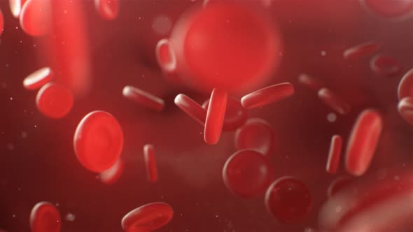 4K Blood Cells