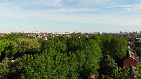 Aerial top view of summer green trees in forest background, Caucasus, Russia. alt
