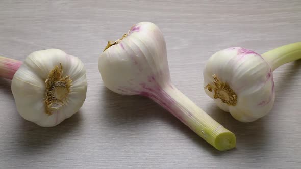 Fresh picked garlic n a row alt