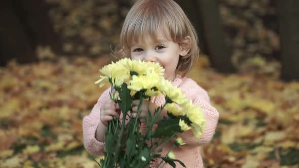 Portrait of little girl looks at camera, smiles, laughs and smells yellow flowers in autumn park.