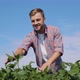 A Young Farmer Looks at a Soybean Sprout in His Field - VideoHive Item for Sale