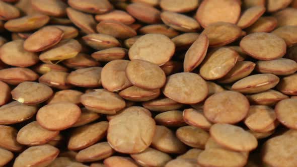 Rotation of a Brown Lentil Seamless Loopable