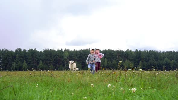 Happy Children and a Beautiful Dog Running Around the Field Over Grass in 