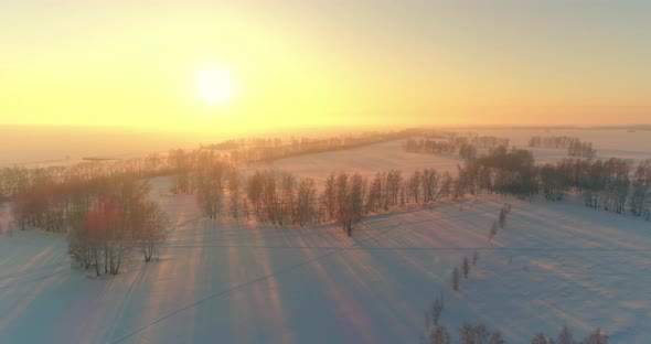 Aerial Drone View of Cold Winter Landscape with Arctic Field Trees Covered with Frost Snow and alt