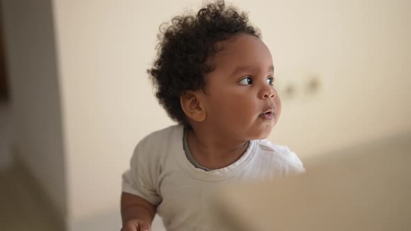 Tracking Shot Cute African American Toddler Boy Walking in Kitchen at Home Having Fun Smiling alt