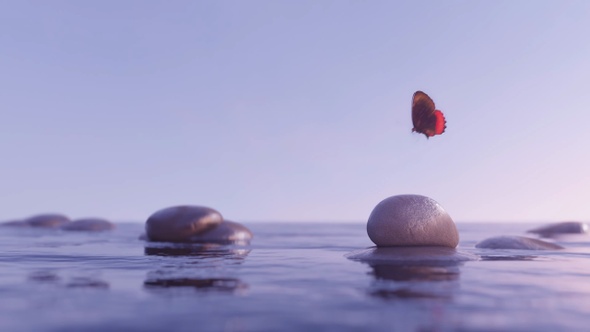 Butterfly Fly Effect over Balance Stone Water Loop alt