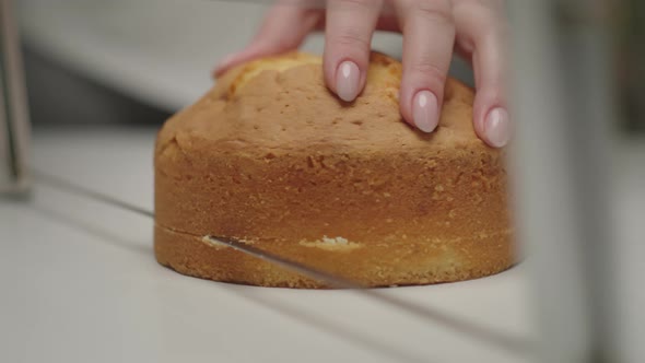 Chef's Hands Cutting Sponge Cake Layers with Bakery Saw or Serrated Knife in Slow Motion