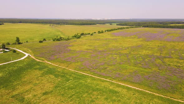 An Endless Green Field with Blooming Wildflowers As Seen From Above alt