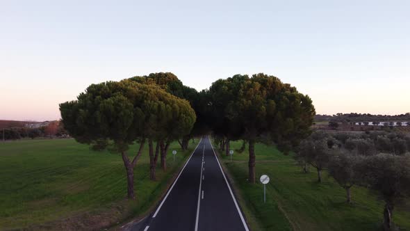 Road In Alentejo Portugal 4K