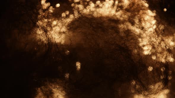 Abstraction. Small Lights Of Burning Small Objects. Decorative Wool Flares Up And Burns. alt