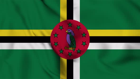 Dominica flag seamless closeup waving animation