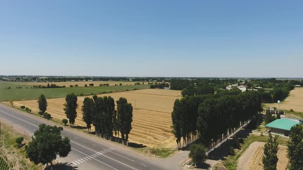 harvesting in an agricultural field alt