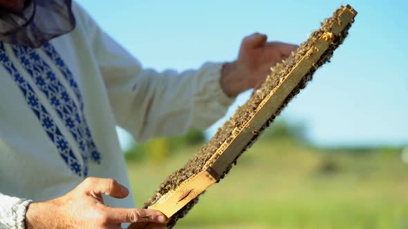 a man in a protective suit and hat holds a frame with honeycombs of bees in the garden alt