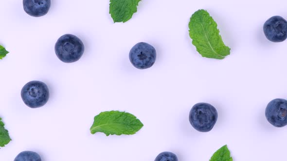 Rotation Background of Berries Blueberries with Mint Leaves on a White Background the Concept of a