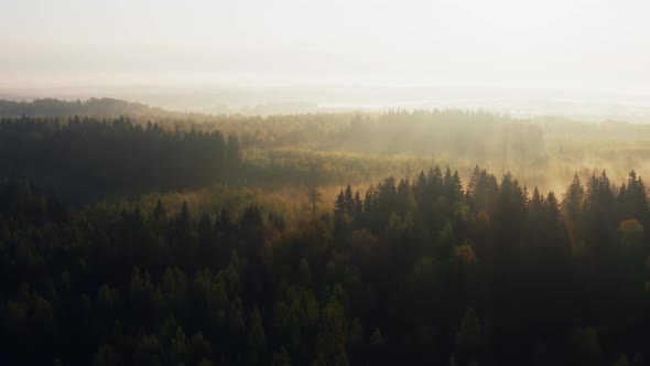 Aerial Drone Flying Over Hilly Forest in Misty Morning Clouds of Fog alt