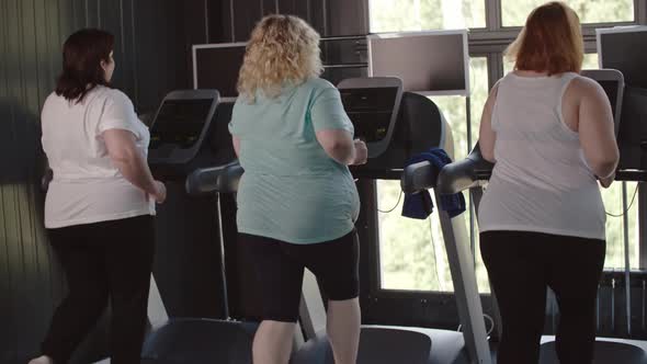 Trying to Lose Weight in the Gym alt