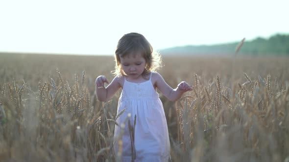 Portrait of Little Girl in a White Dress in Field