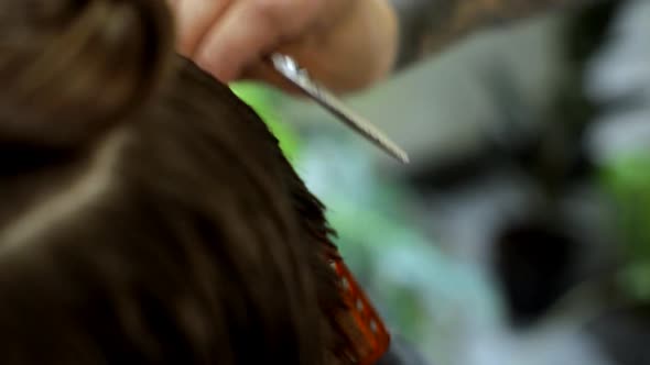 Hairdresser Trimming Brown Hair with Scissors. Professional Stylist Cutting Woman's Hair in Salon alt