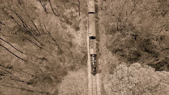 Black and White Aerial View of an 1860's Steam Passenger Train Traveling Thru a Wooded Area alt
