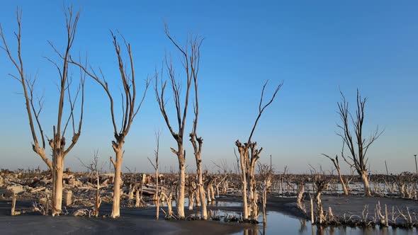 Debris and dead trees after disastrous historical flood in Villa Epecuen; aerial alt
