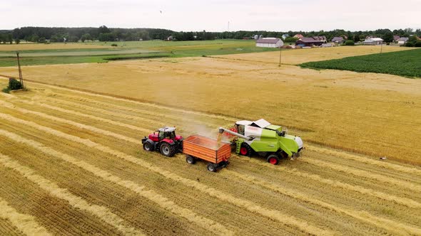 Drone View of a Modern Combine Dumping the Harvested Wheat Into the Truck