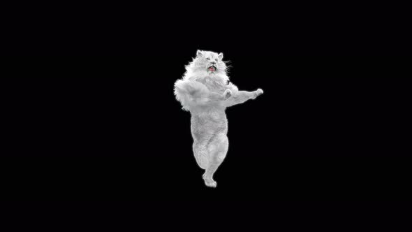 White Lion Dancing 4K alt