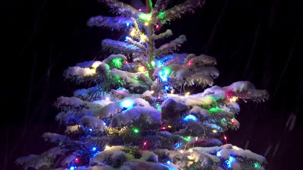 Panorama of Christmas Tree with Festive Lights at Night 4k