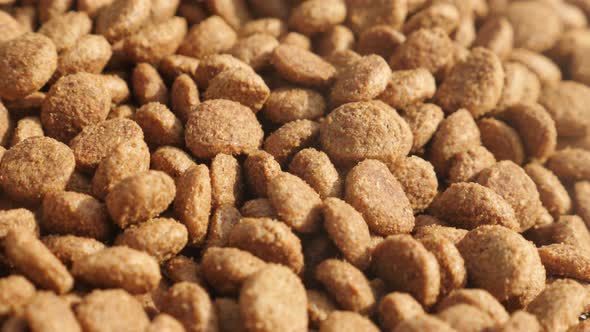 Panning over pet dry food close-up  4K 2160p 30fps UltraHD footage - Pile of cat or dog pellets slow alt