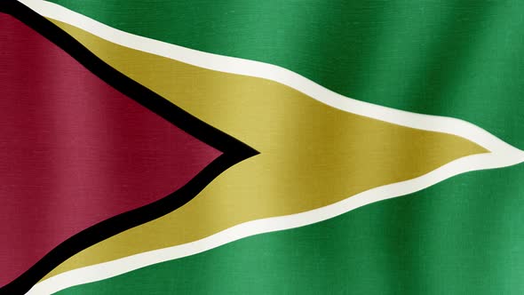 The National Flag of Guyana