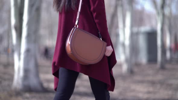 Business Woman with Handbag Walking in the Park