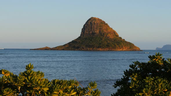 chinamans hat close up alt