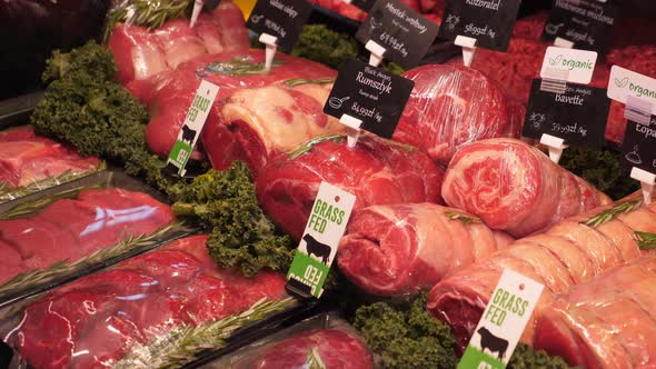 Animal Protein Sources in Food alt