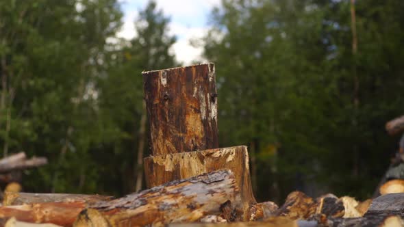A Log Shatters Under the Blow of an Axe