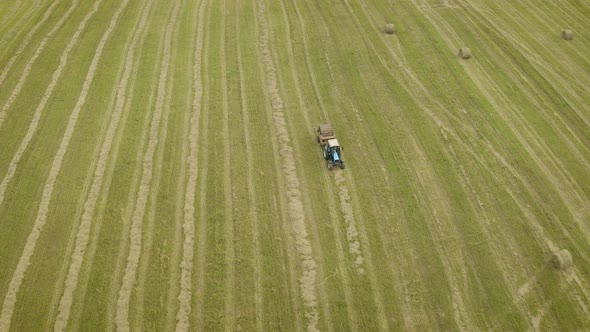 Agricultural Field on Farm with Tractors Making Haystacks During Harvesting alt