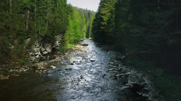 Mountain River with Low Rapids Flows Inside Mysterious Forest alt