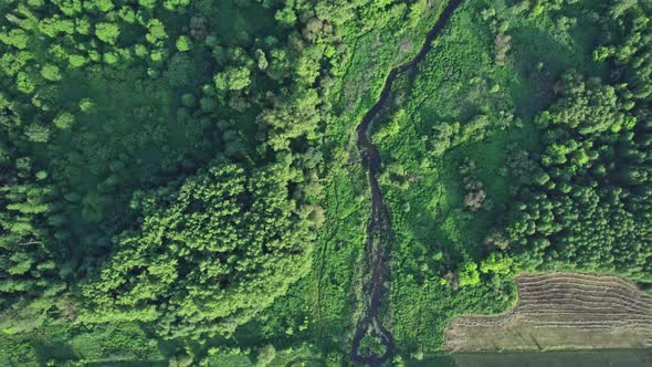Small River Flows Smoothly Between Green Fields and a Railway Bridge alt