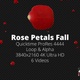 Rose Petal Fall 4K - VideoHive Item for Sale