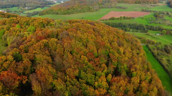 drone flight over beautiful autumn colored forest and autumn landscape alt