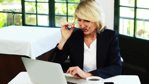 Businesswoman using laptop in restaurant alt
