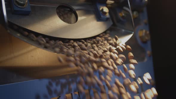 Brown Arabica Coffee Beans Fall From the Roaster in the Chiller for Cooling alt