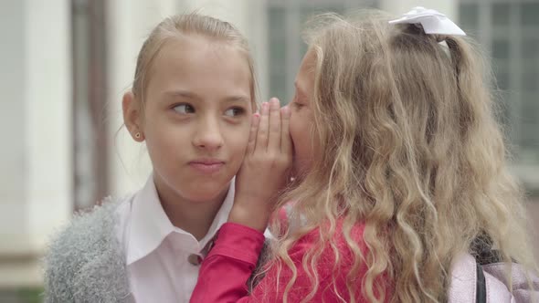 Close-up of Surprised Caucasian Girl Laughing As Friend Whispering on Her Ear. Cheerful Schoolgirls alt