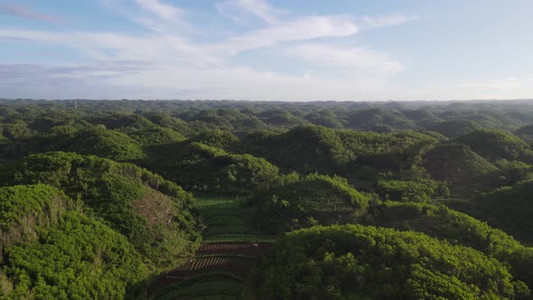 Aerial view of green valley in Gunung Kidul, Indonesia. alt
