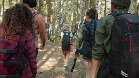 Back View of Young People Tourists Walking in the Forest with Backpacks Looking Around Enjoying View alt