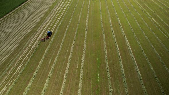 A tractor harvests crops, running up and down rows. Farm. Europe. alt