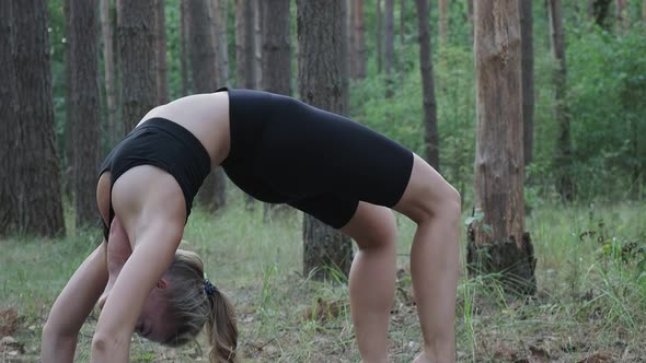 Young Flexible Slim Female Practices Yoga Performs Bridge Pose at Pine Forest