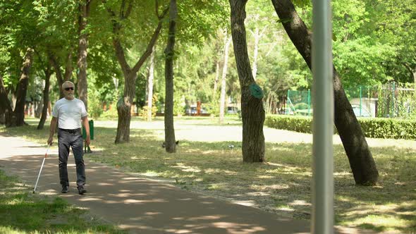 Blind Old Man Detecting Obstacles With White Cane, Bumping Into Pillar in Park alt