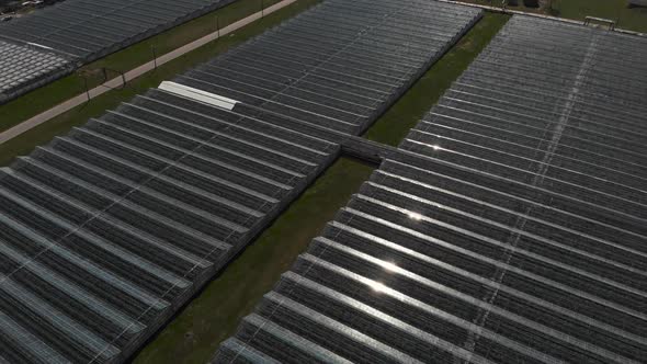 Camera Fly Over the Greenhouses. Aerial Shot. Geometry in Industrial Production. Perfectionism in