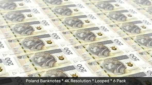 Poland Banknotes / Polish Money / Zloty / PLN / zl 6 Pack - 4K alt