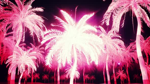 Glowing Pink Palm Trees Alley 4k
