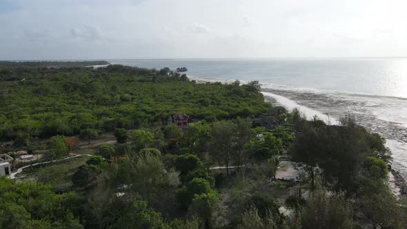 Coast of Zanzibar Island Tanzania Covered with Thickets alt